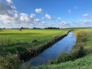 Brücke am Hausweg