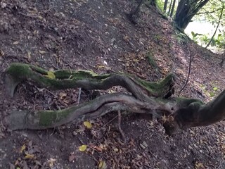 Casa per le vacanze Extertal Ambiente 14