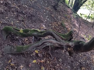 Maison de vacances Extertal Environnement 14