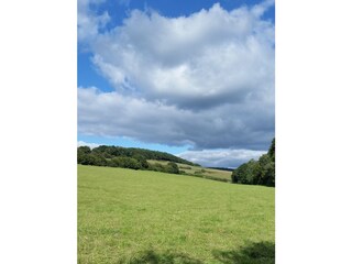 Natur pur