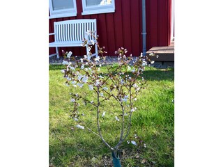 Casa per le vacanze Extertal Registrazione all'aperto 3