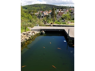 Im Garten , Blick über das Tal der Spree