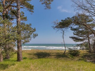 Appartement de vacances Binz Environnement 40