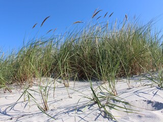 und in 30 Minuten ist man am Schönberger Strand