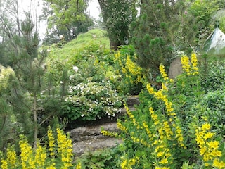 Ferienwohnung Bad Hindelang Umgebung 16