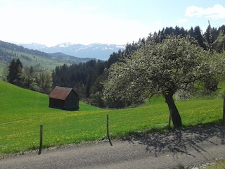 Ferienwohnung Bad Hindelang Umgebung 19