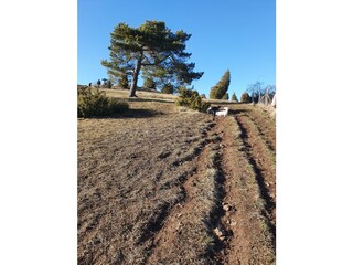 Weg zum Kalvarienberg