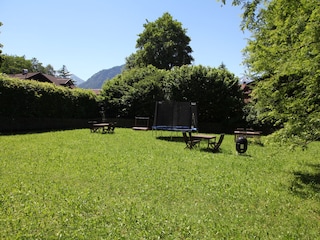 Garten im Sommer