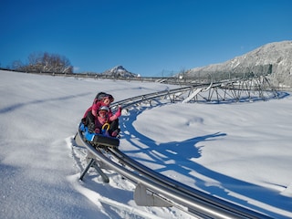 Allgäu-Coaster am Söllereck in Oberstdorf
