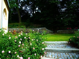 Villa Bad Freienwalde Environment 4