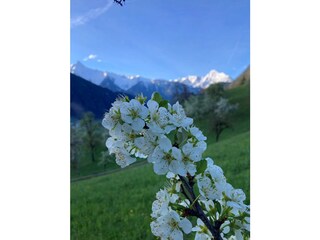 Appartamento per vacanze Hippach Ambiente 24