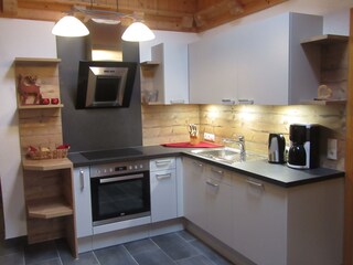 Appartamento per vacanze Hippach Caratteristiche 9