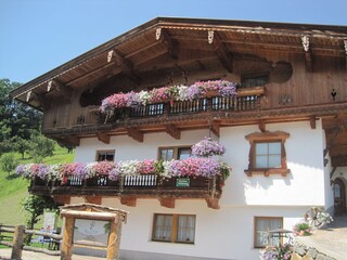 Vakantieappartement Hippach Buitenaudio-opname 2