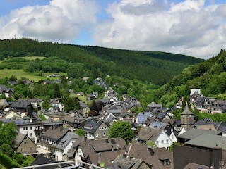 Appartement Willingen Environnement 32