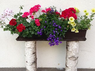 Appartamento per vacanze St. Lorenzen im Pustertal Registrazione all'aperto 8