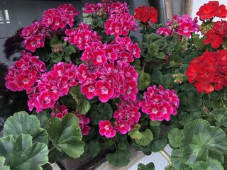 Appartamento per vacanze St. Lorenzen im Pustertal Registrazione all'aperto 9