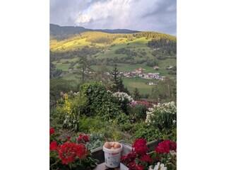 Appartamento per vacanze St. Lorenzen im Pustertal Ambiente 18