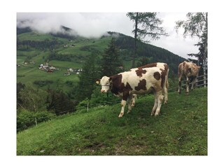 Appartamento per vacanze St. Lorenzen im Pustertal Registrazione all'aperto 7