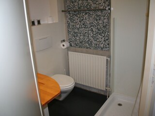 Appartamento per vacanze Nieuwvliet Caratteristiche 15