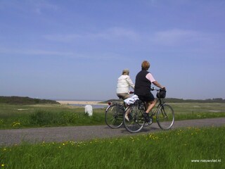 Vakantieappartement Nieuwvliet Omgeving 21