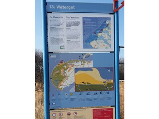 Appartamento per vacanze Renesse Registrazione all'aperto 3