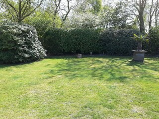 Vakantieappartement Renesse Buitenaudio-opname 5