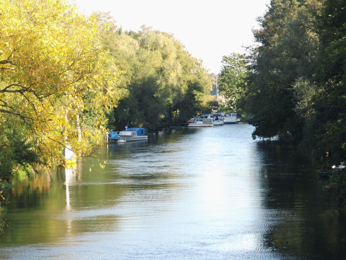 Herbstbild von der Spree