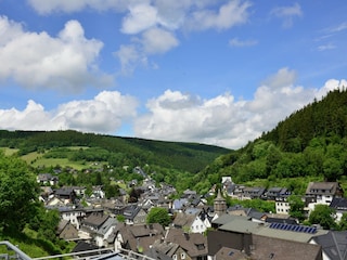 Apartamento Willingen Entorno 27