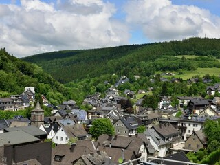 Apartment Willingen Environment 31