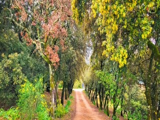 Villa Mormoiron Omgeving 29