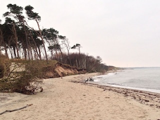 Vakantieappartement Zingst Omgeving 28