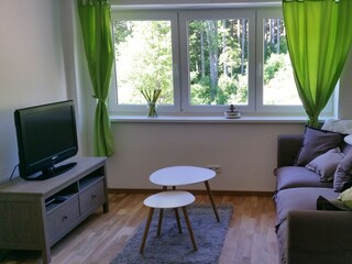 Appartamento per vacanze Hinterzarten Caratteristiche 6