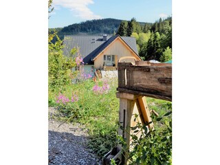 Appartamento per vacanze Hinterzarten Registrazione all'aperto 2