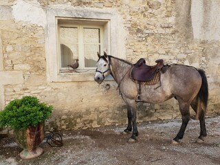 Villa Lauret Registrazione all'aperto 14