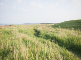 Natur