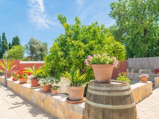 Tenuta Binissalem Registrazione all'aperto 7