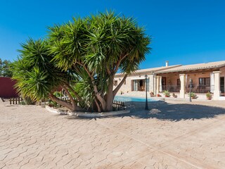 Tenuta Binissalem Registrazione all'aperto 14