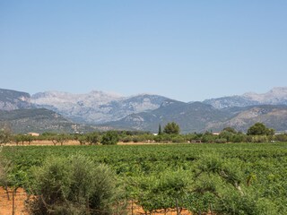 Tenuta Binissalem Ambiente 59