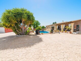 Tenuta Binissalem Registrazione all'aperto 22