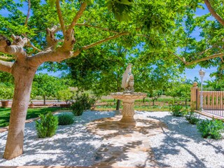 Finca Manacor Buitenaudio-opname 9