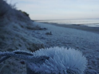 Casa de vacaciones Glowe Entorno 24