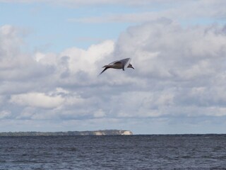 Casa de vacaciones Glowe Entorno 22
