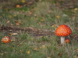 Casa per le vacanze Glowe Ambiente 28