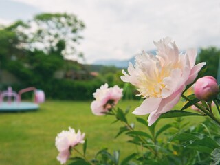 Appartamento per vacanze St. Kanzian Registrazione all'aperto 13