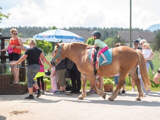 Appartamento per vacanze St. Kanzian Ambiente 32