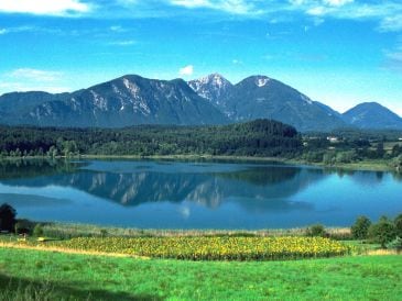 Apartment Eckwirt am Klopeinersee, Turnersee 1