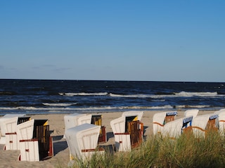 Strandkörbe am Strand