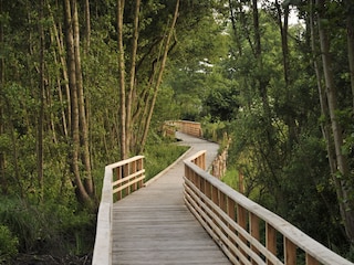 Rundwanderweg am See