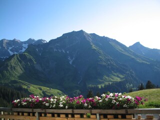 Appartamento per vacanze Schröcken Registrazione all'aperto 6