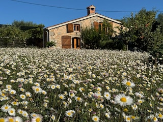 Villa Krk (Stadt) Außenaufnahme 18